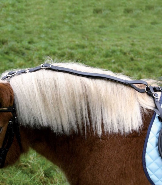 STAR Kopfhaltezügel, Einheitsgröße für Pony und Kleinpferd